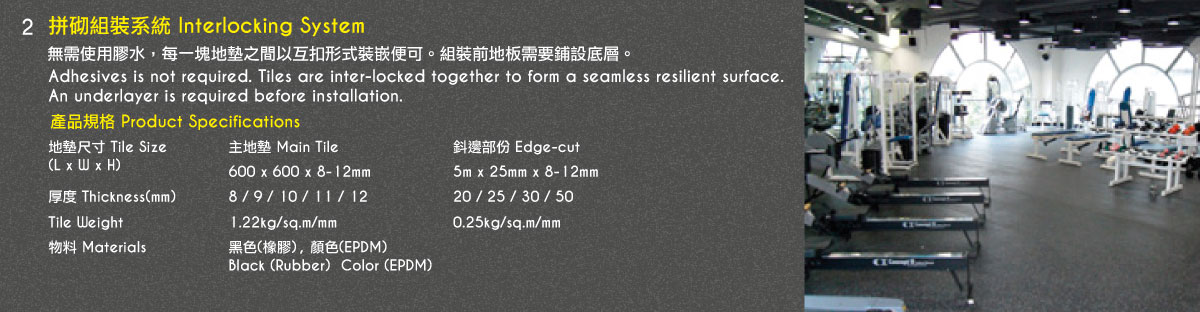 拼砌組裝系統 Interlocking System